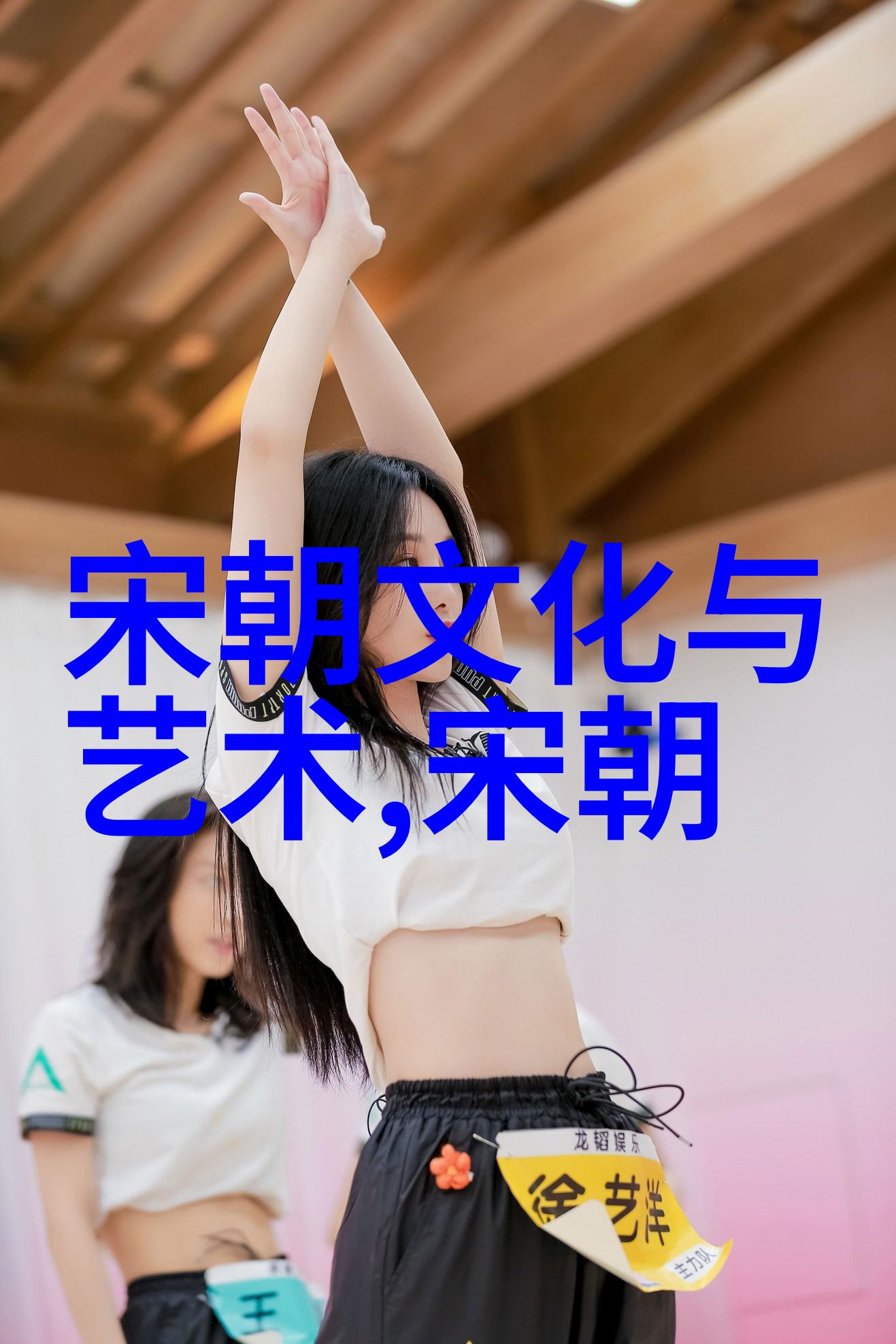 宋朝历史文化价值探究文人墨客与社会变革的交响篇章