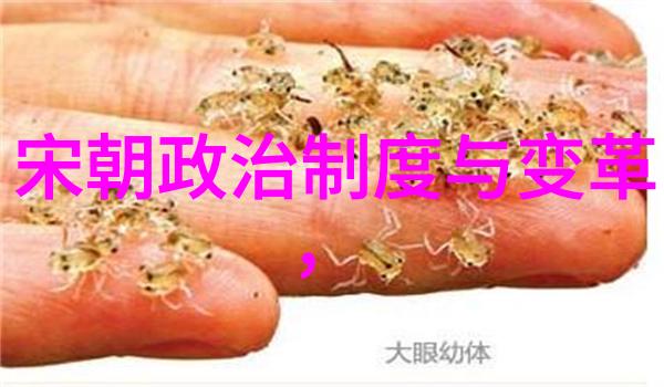 赵椿宋徽宗赵佶第十九子去世时年仅一岁身处传统中国文化的辉煌成就中其人生短暂如梦