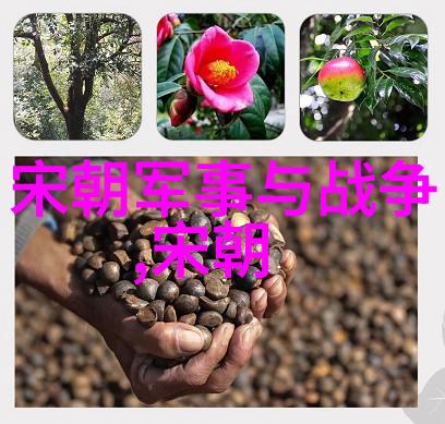 经济发展差异探索两宋时期的贸易模式
