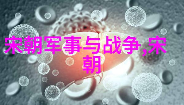 明朝简史我的历史小窥窗