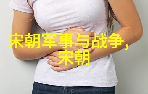 历史编纂的局限辽金不入正史的原因剖析