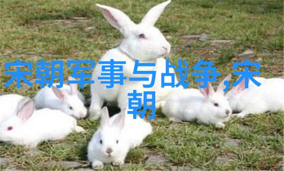 明朝那些事类似的历史书我是怎么从网上找到的那些隐藏的秘史