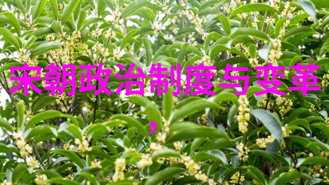 探索河南风情精美PPT素材的魅力与应用