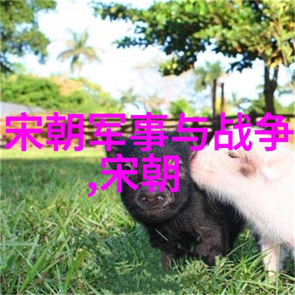 探索汉王对朱瞻基健康状况的关注