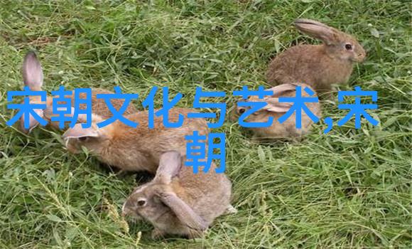 清朝灭准噶尔的残酷与服饰文化皇帝换衣的故事