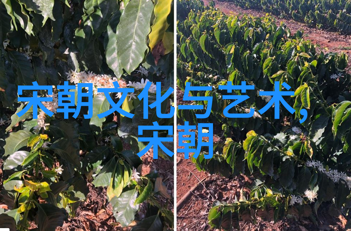 明朝那些事儿郑成功的逆袭之旅