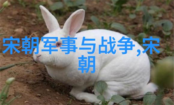 明朝那些事儿后记之文化盛世与经济衰退的矛盾