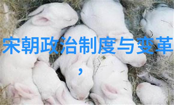 电影视觉诗人的盛宴