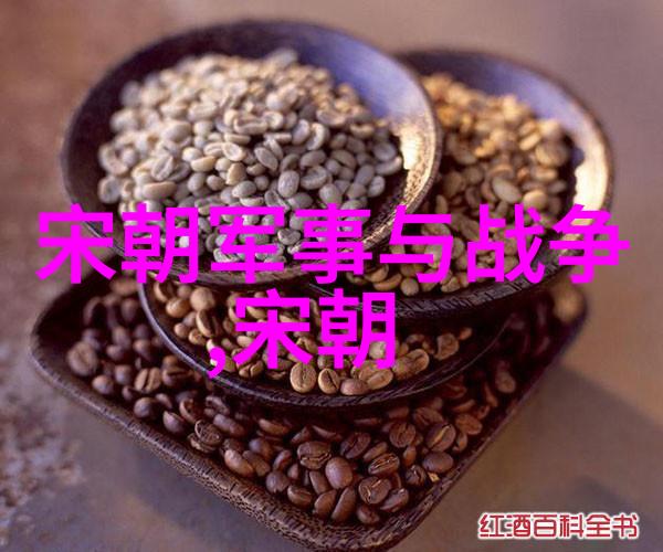 宋朝风华录帝王文化与艺术的辉煌一览