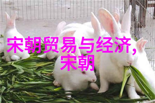明朝顺序及简介从洪武到崇祯的盛世与衰落
