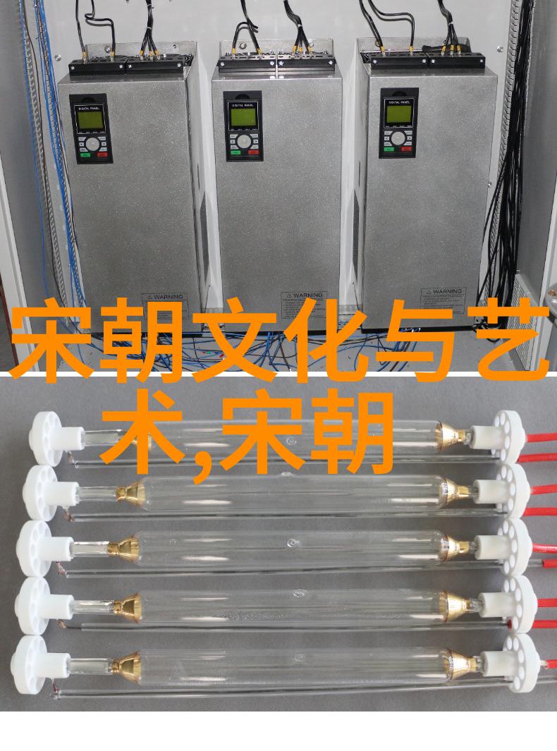 宋朝在世的-千年纹章宋代遗民的故事与文化