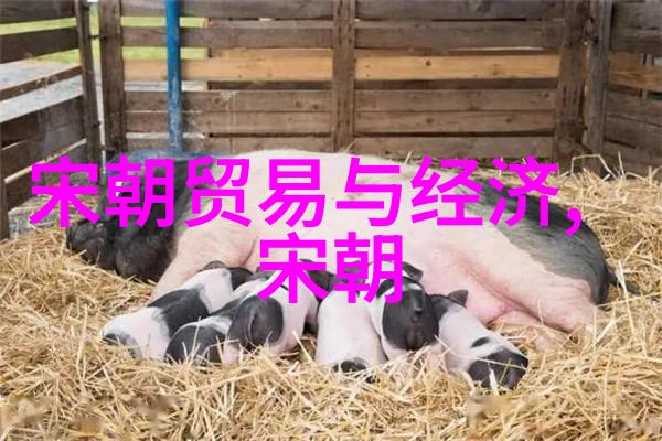 宫廷阴影紫禁城的暗杀计划