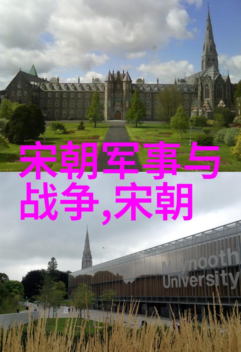 法国学制下的曹邺文明的烹饪艺术