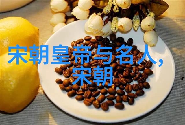 明朝历史讲解视频 - 揭秘明朝辉煌历代帝王与社会变迁