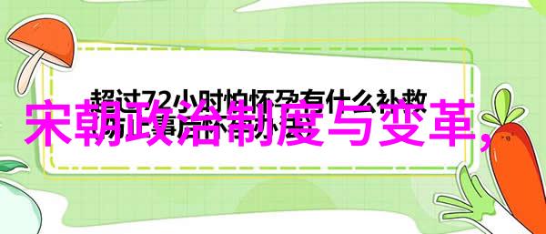 宋朝辉煌从北宋到南宋的历史变迁与文化遗产