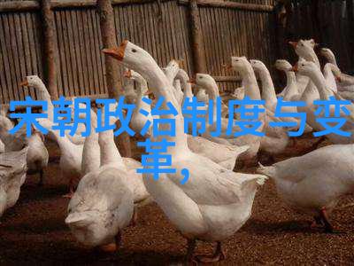 慈禧太后背后的权力游戏有多复杂
