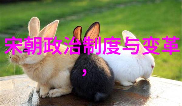 除了武功卓绝刘伯温还有哪些方面让他被尊称为伟人