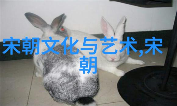 宋朝简介及历史概述 - 南渡北进宋代的兴衰与文化繁荣