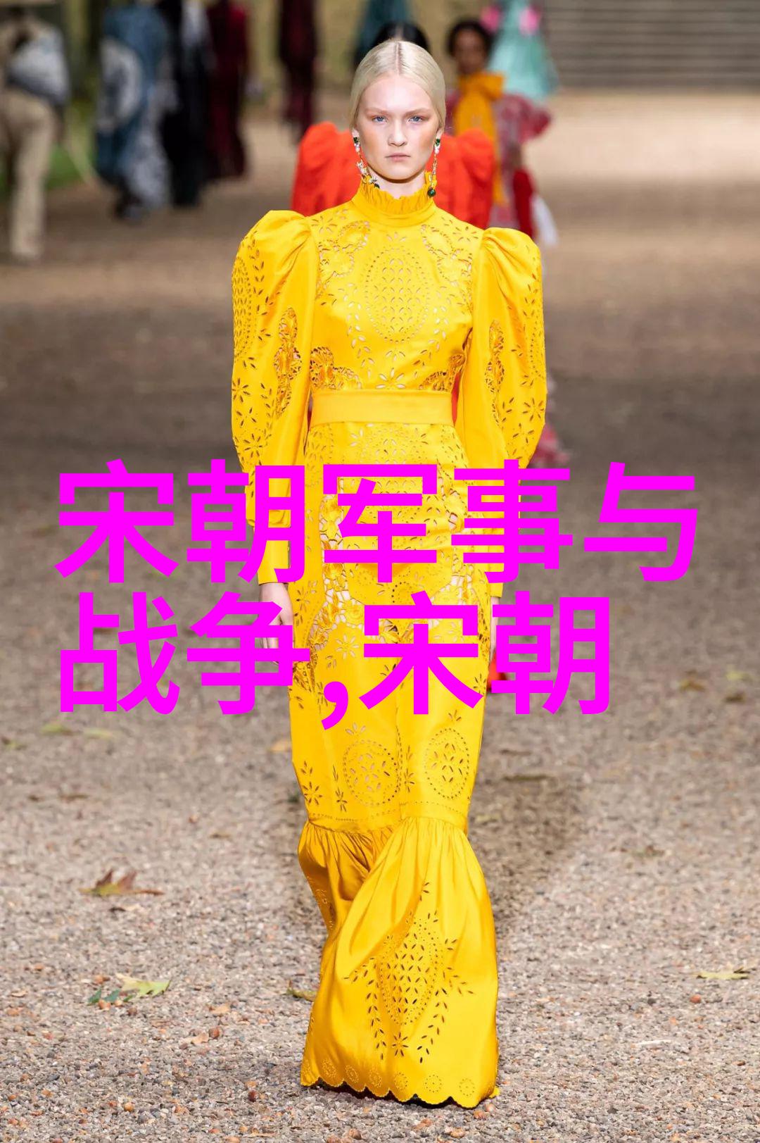 五代十国灭亡后历史 - 辽宋金元的兴起与中原王朝的重建