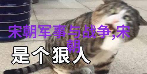 末期动荡与中央集权失效分析元朝晚年的政治危机