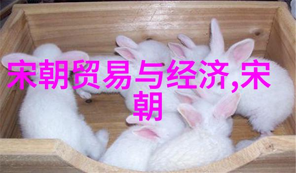 沉默的传承幽灵之种的秘密