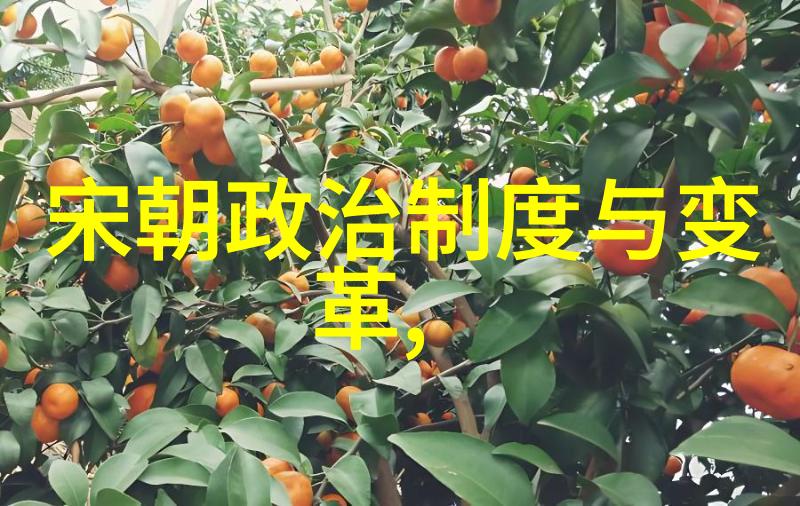 在史书中我们能找到关于元朝疆域详细描述吗这些描述能帮助我们估计它到底有多大吗