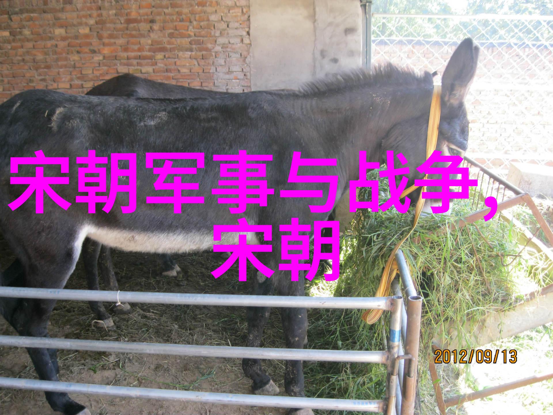 明朝图片 - 画卷里的盛世解读明朝画像的艺术与文化