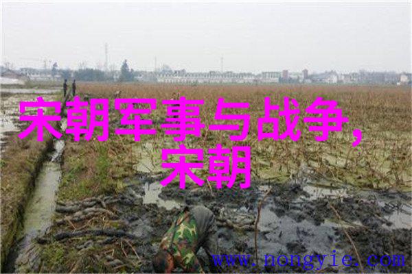雍正帝的改革措施是如何激起乾隆帝嫉妒之情的