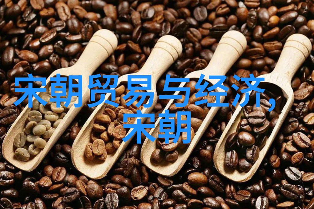 宋朝历史的文化价值我眼中的宋词时间的音符与情感的画卷