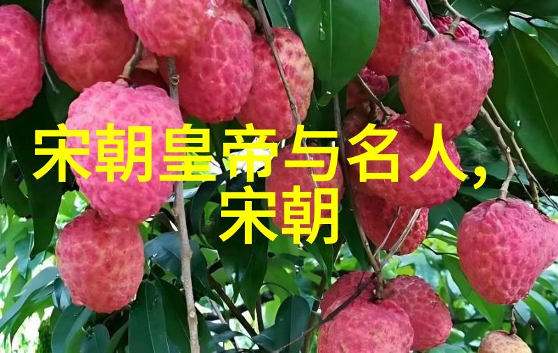 中国男足球员楚肃王超凡脱俗的前370年