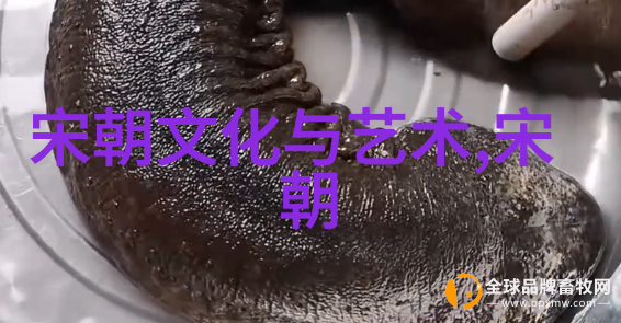 武则天女皇之谜穿越历史的风华与权谋