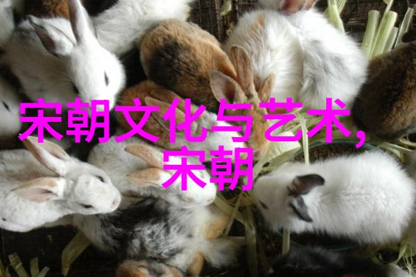 明太祖的哀痛一位皇帝的悼念与反思