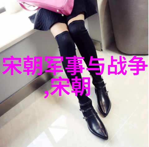 探索明朝风云选读经典史料与现代研究