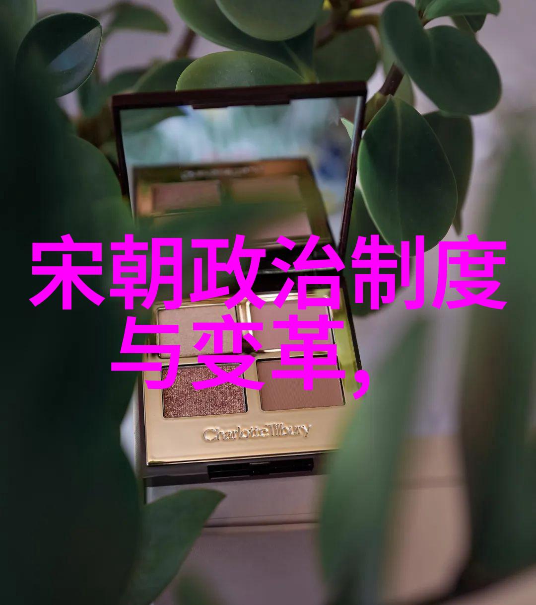 为什么朱棣一脉不长寿朱家后裔的病根探寻明朝太祖之子那段短暂而又复杂的历史
