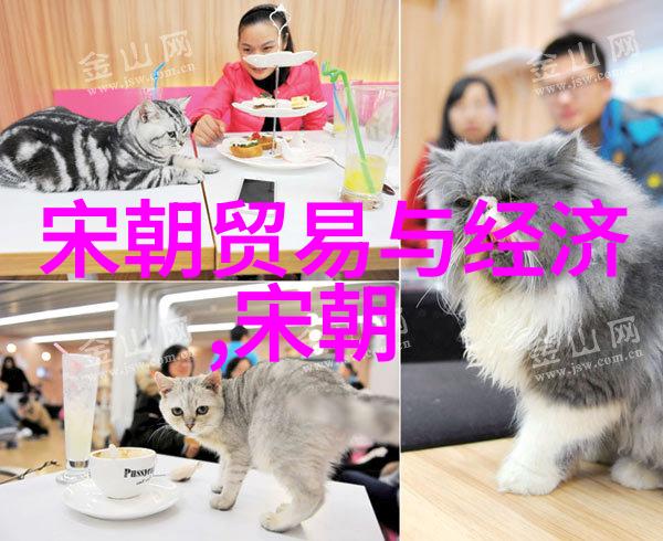 乾隆帝与十三叔的隐情背后的权力斗争与感情纠葛