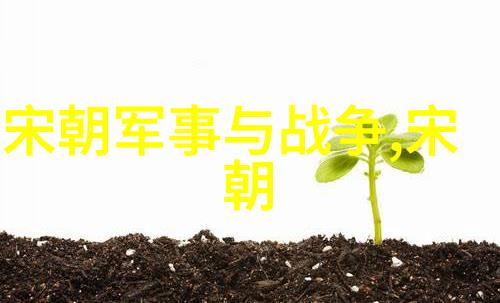 明朝的盛世繁荣文化与雄霸