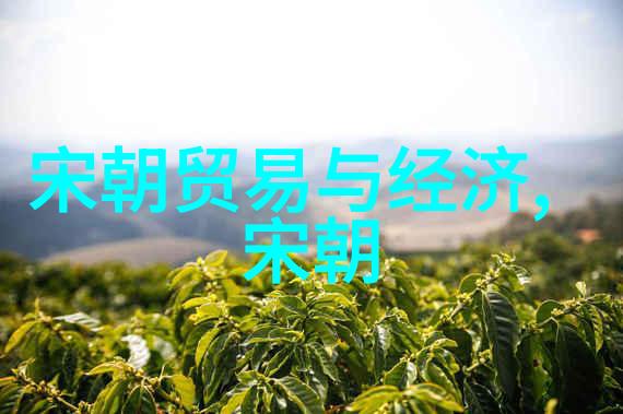 掌心娇纵温柔的力量与责任的重量