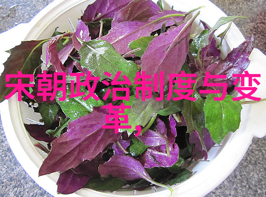 明朝风华从永乐东征到天启之变的历史足迹