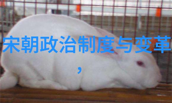 明朝中期的经济发展对社会产生了哪些影响