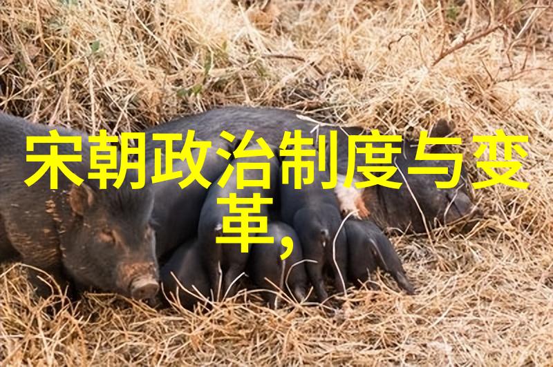 三国演义与水浒传的作者都活跃于明初他们对当时社会有什么影响