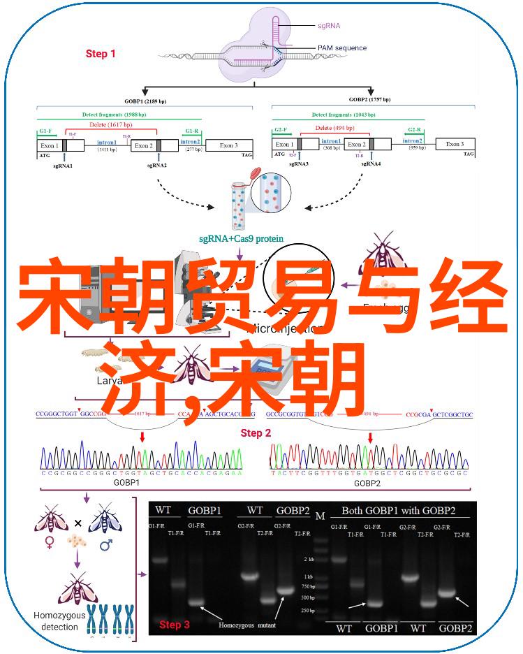 论明朝衰败剖析最烂王朝的历史根源与社会后果