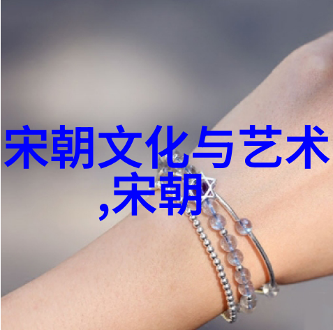 宋朝简介及历史概述中国历史上的南北分治与统一
