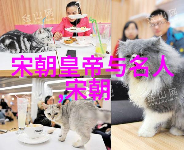金朝的风华张勇刚的故事