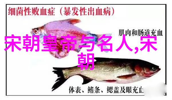 书法四大才子柳公权欧阳询颜真卿王羲之的艺术足迹