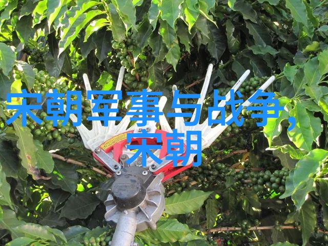 明朝最短统治者一位不幸的皇帝的悲剧故事