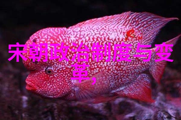 梵高星空的色彩语言与情感表达梵高星空中的色彩运用及其对情感的深刻体现