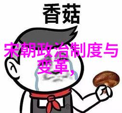 乾隆帝的继承人四大皇子争位记