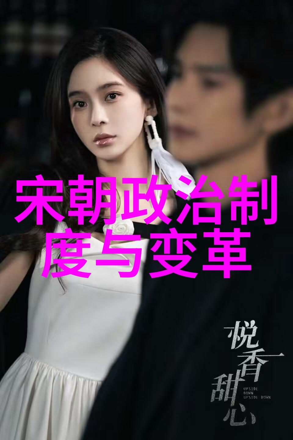 宋朝文化与艺术_宋代艺术文化_艺术宋朝文化的特点