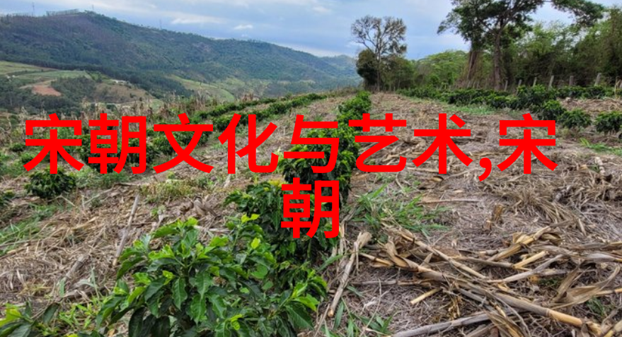 元朝风俗研究探索蒙古贵族与汉族民众生活方式的融合与对立