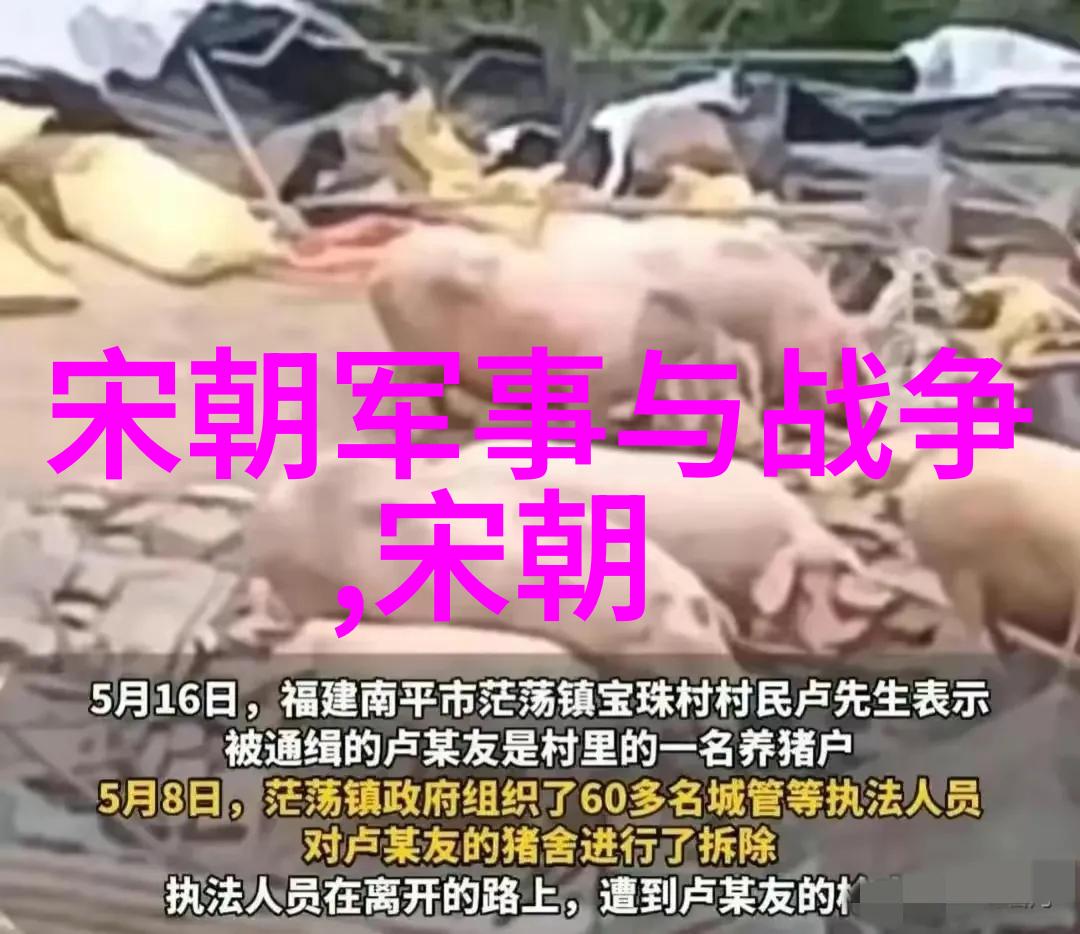 金朝历程一览穿越千年重现辉煌